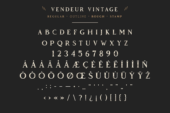 Vendeur Vintage Font Family + Extras in Serif Fonts - product preview 7