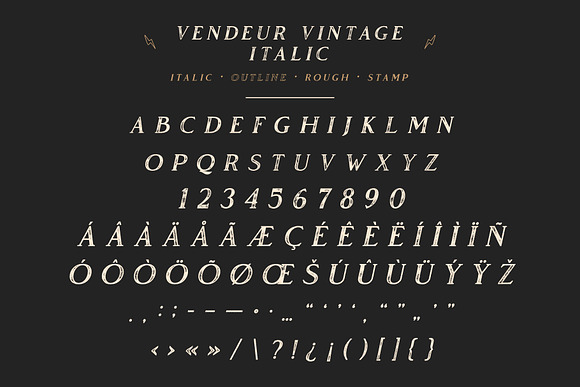 Vendeur Vintage Font Family + Extras in Serif Fonts - product preview 8