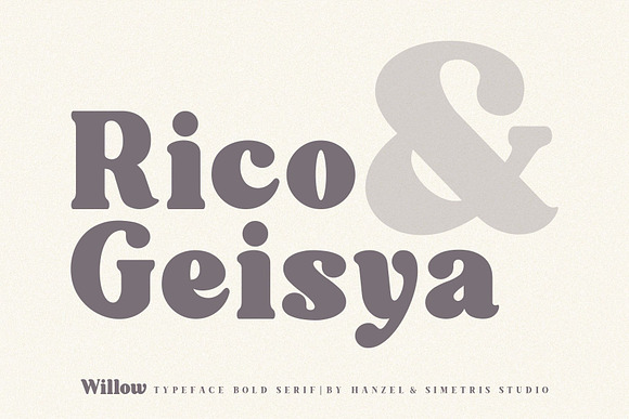 Willow. Typeface Bold Serif in Serif Fonts - product preview 7
