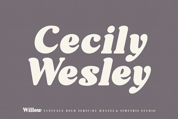 Willow. Typeface Bold Serif in Serif Fonts - product preview 8