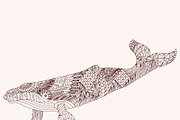 Patterned whale