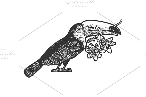 toucan and lilies sketch vector