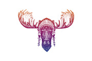 Moose, elk. Animal. Vector portrait