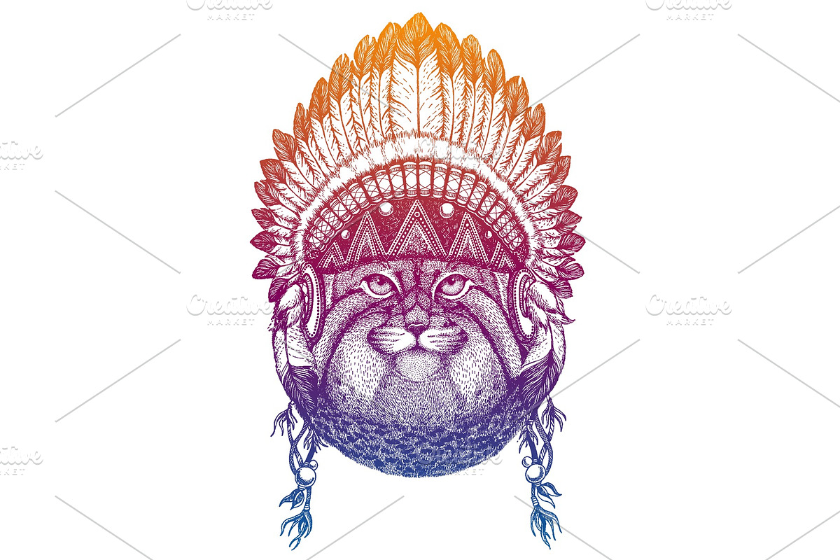 Manul, cat. Animal. Vector portrait in Illustrations - product preview 8