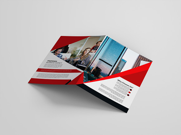 Professional Business Brochure in Brochure Templates - product preview 1