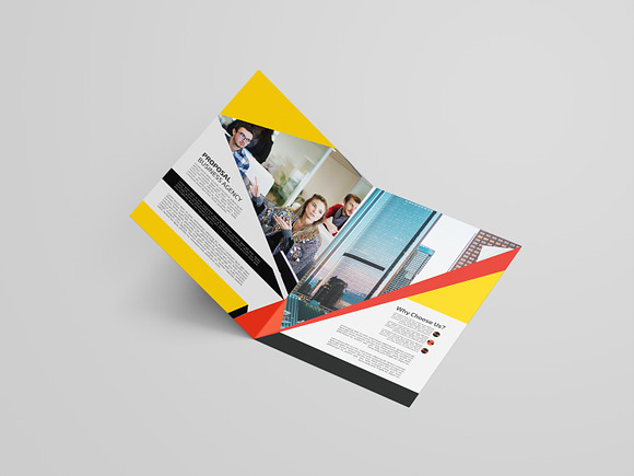 Professional Business Brochure in Brochure Templates - product preview 4