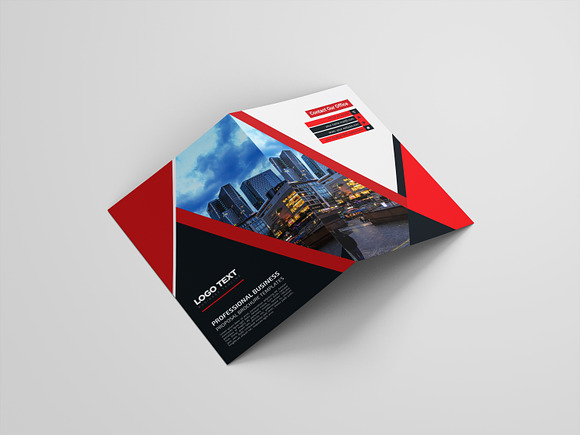 Professional Business Brochure in Brochure Templates - product preview 7