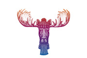 Moose, elk. Ski, skier animal