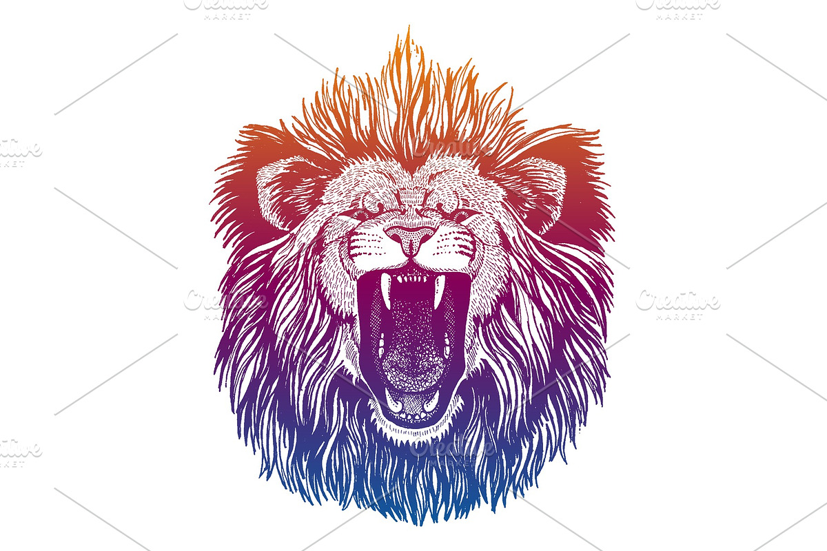 Hipster lion vector illustration in Illustrations - product preview 8