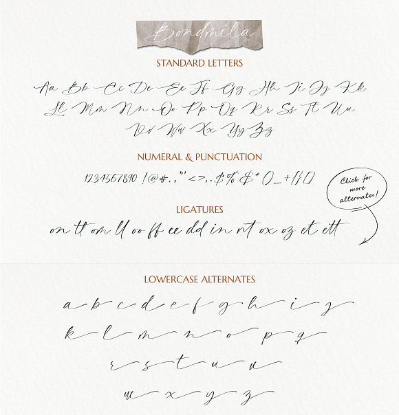 Bondmila Chic Script in Script Fonts - product preview 11