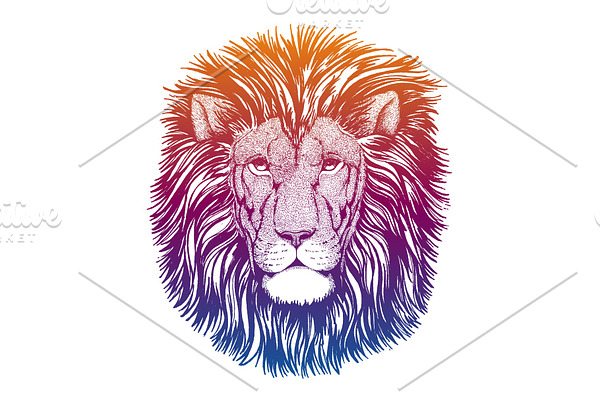 Hipster lion vector illustration