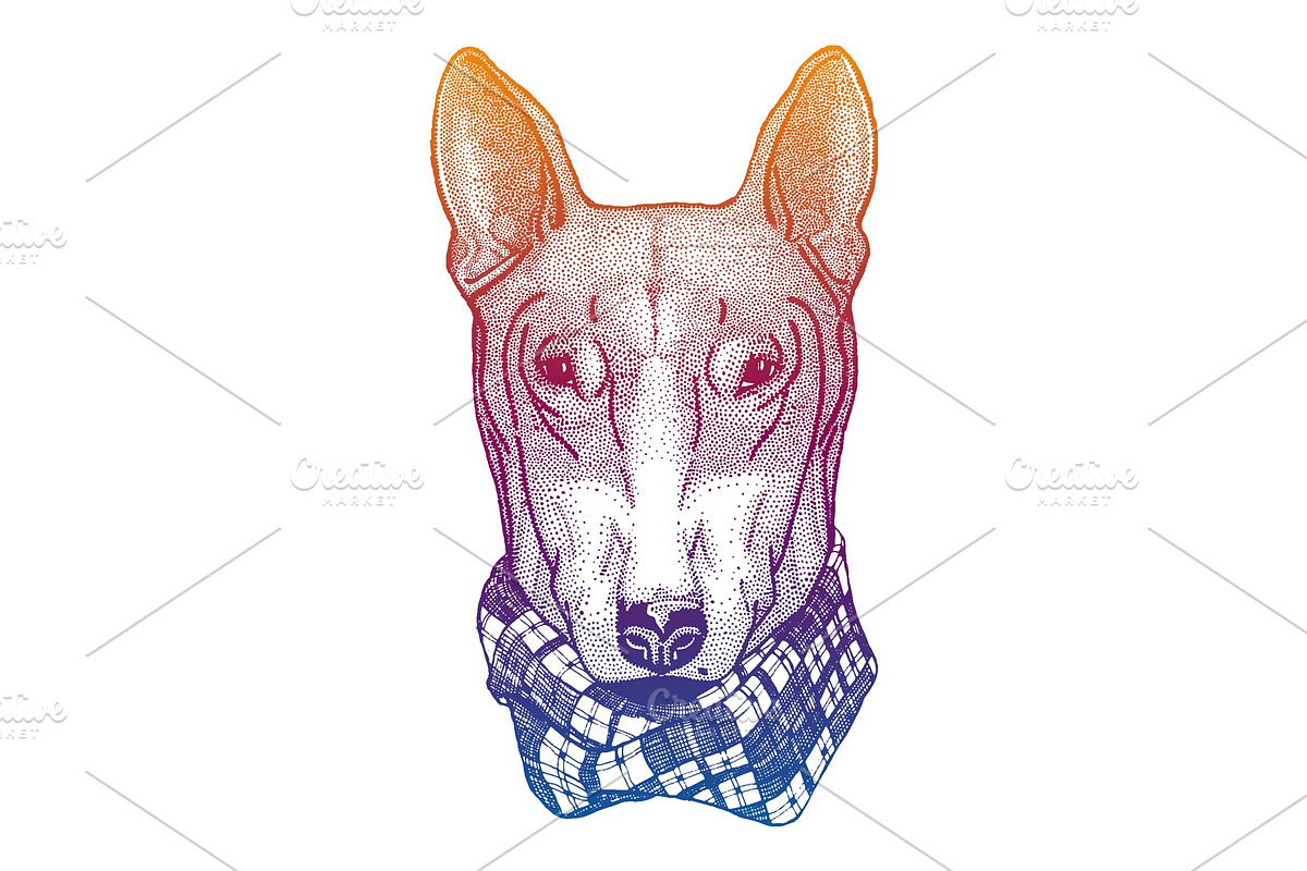 Dog, pitbull. Animal portrait for in Illustrations - product preview 8