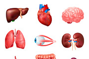 Human internal organs icon set