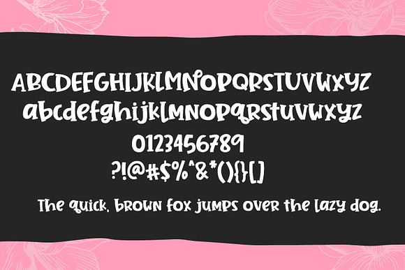 Jane Magnolia Handwritten Font in Display Fonts - product preview 1