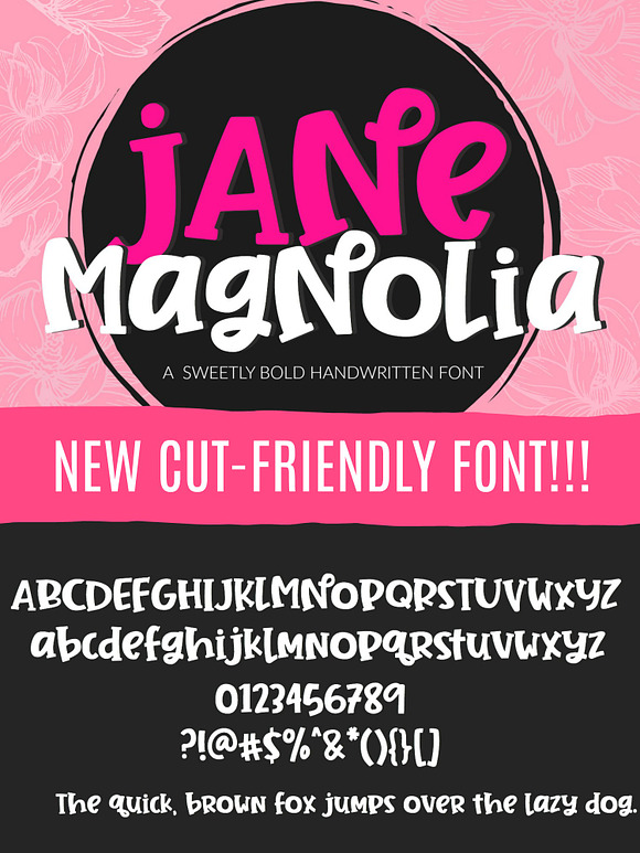 Jane Magnolia Handwritten Font in Display Fonts - product preview 7