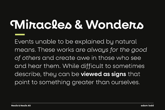Neulis Font Family in Sans-Serif Fonts - product preview 3