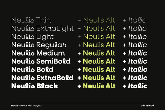Neulis Font Family in Sans-Serif Fonts - product preview 8