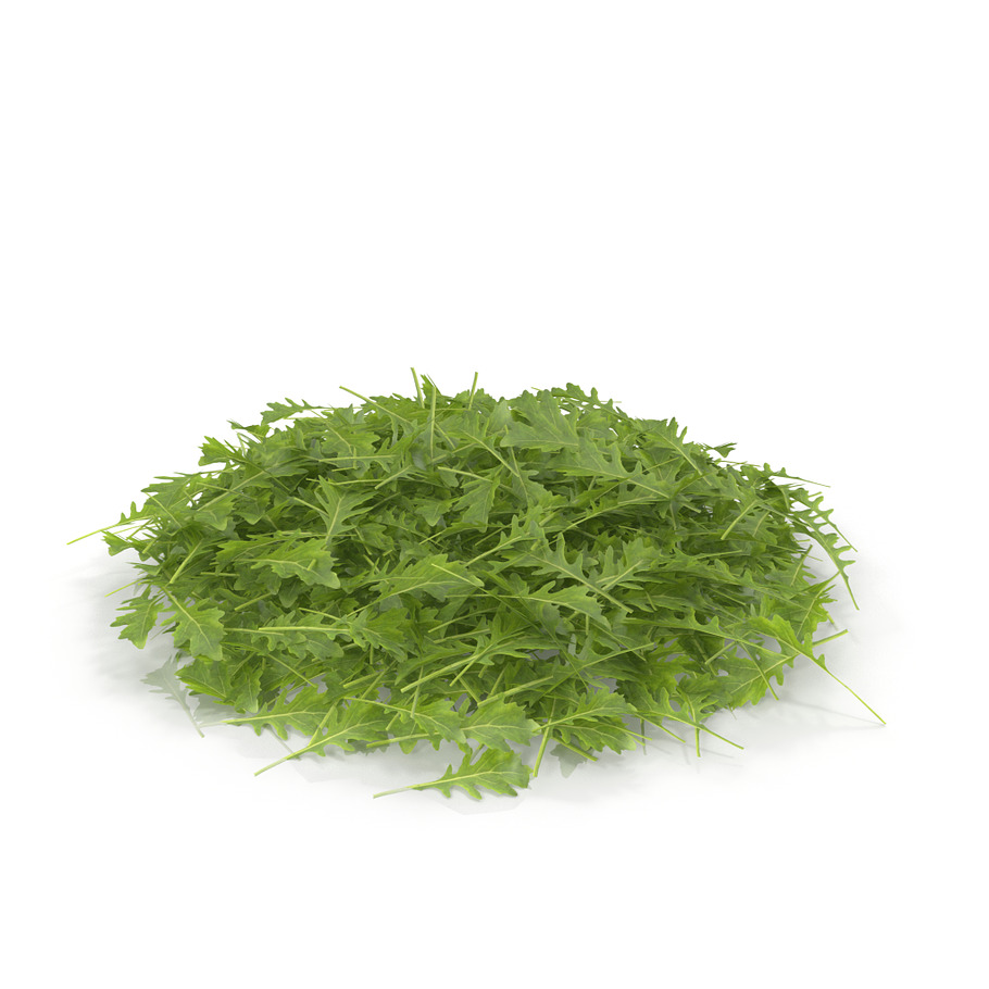 Arugula PS in Nature - product preview 2
