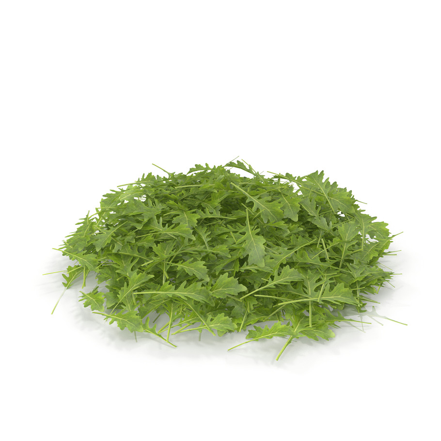 Arugula PS in Nature - product preview 3