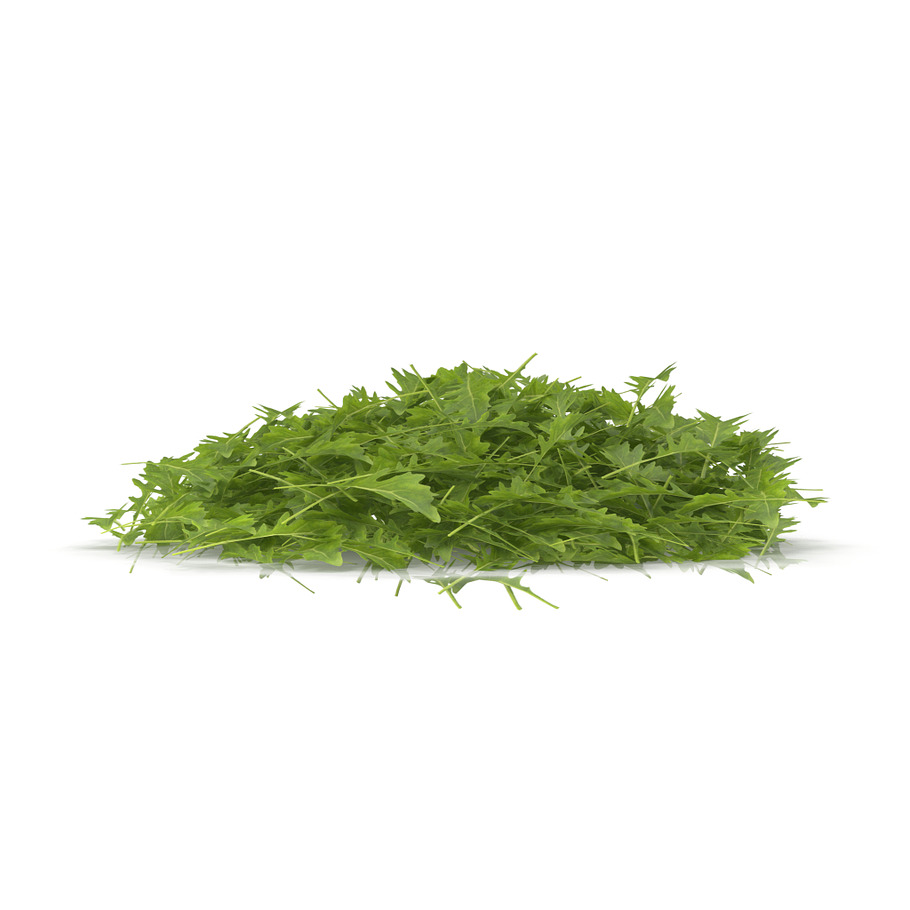 Arugula PS in Nature - product preview 5