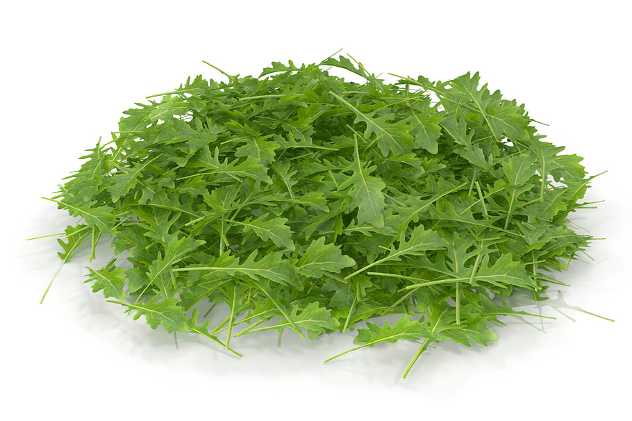 Arugula PS in Nature - product preview 6