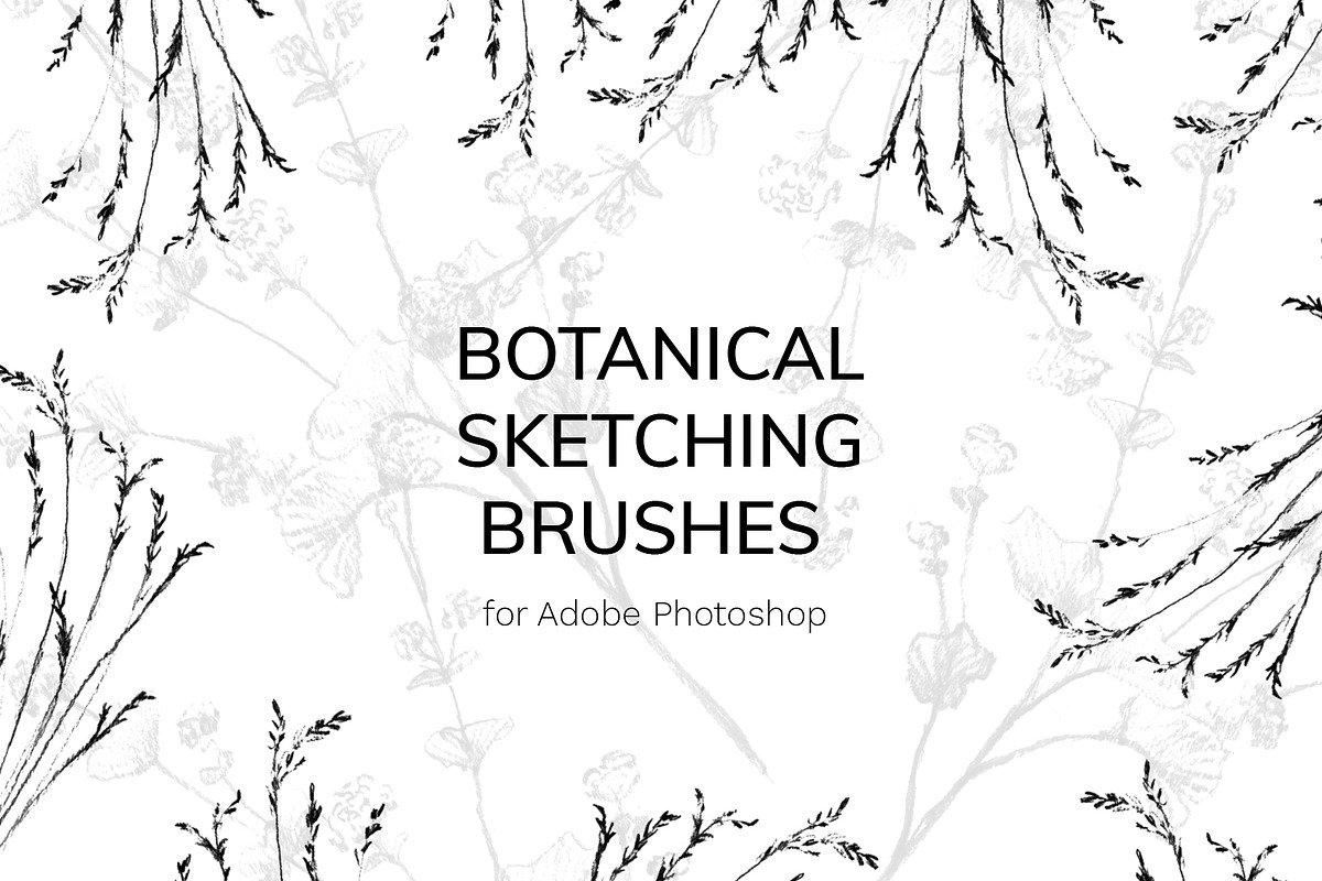 Botanical Brushes for Photoshop in Add-Ons - product preview 8