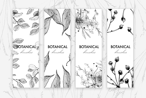 Botanical Brushes for Photoshop in Add-Ons - product preview 3