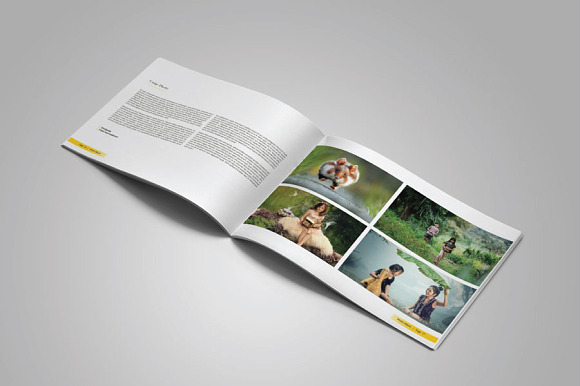 Portfolio Photo Album in Brochure Templates - product preview 10