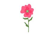Pink Flower on Thin Stable, Flora