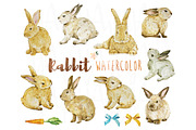 Rabbit Watercolor Collections Set