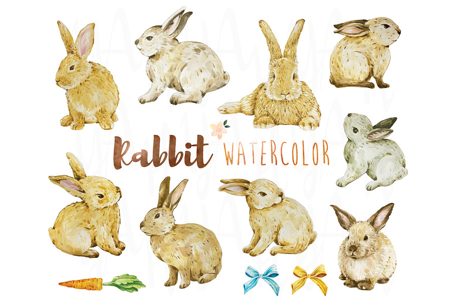 Rabbit Watercolor Collections Set in Illustrations - product preview 8