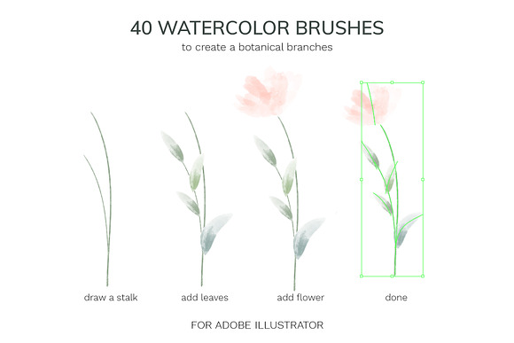 Vector botanical watercolor brushes in Add-Ons - product preview 3
