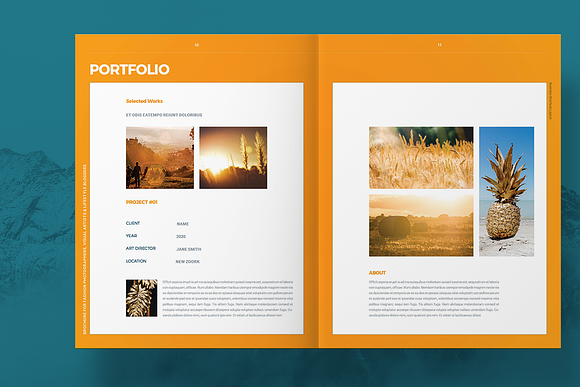 Business Proposal Layout in Brochure Templates - product preview 5