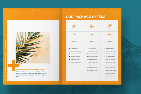 Business Proposal Layout in Brochure Templates - product preview 10