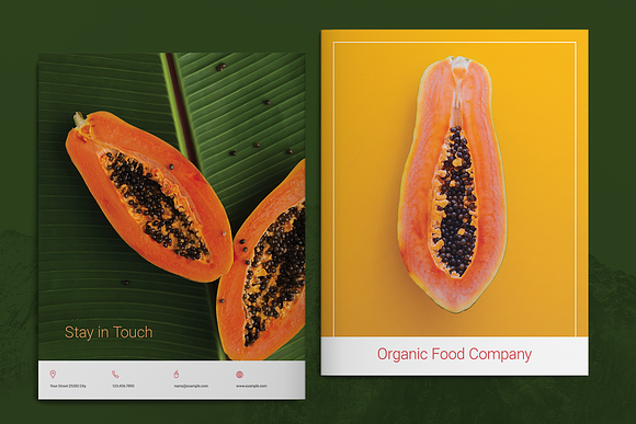 Organic Food Brochure Layout in Brochure Templates - product preview 6