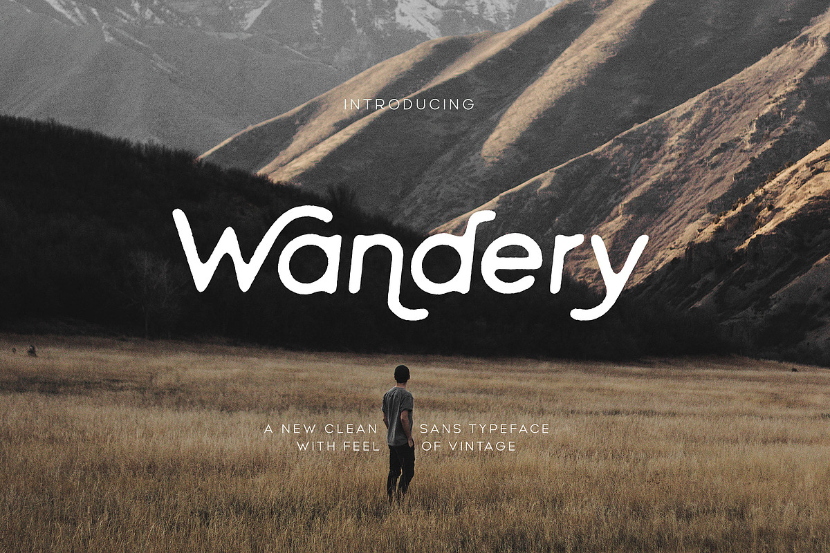 Wandery Modern x Vintage Typeface in Display Fonts - product preview 8