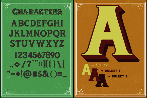 Bulkey in Display Fonts - product preview 9