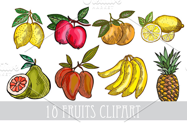 18 Hand Drawn Fruits Clipart
