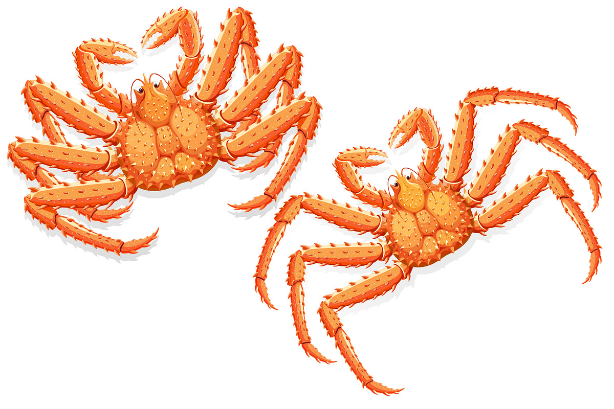 Alaskan King Crab in Objects - product preview 8