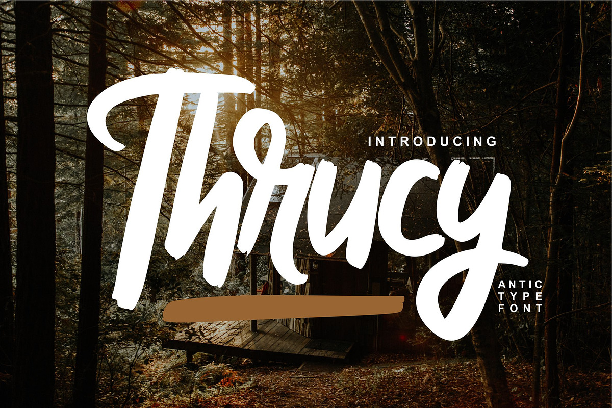 Thrucy | Antictype Script Font in Script Fonts - product preview 8