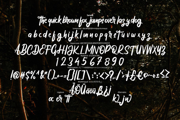 Thrucy | Antictype Script Font in Script Fonts - product preview 5