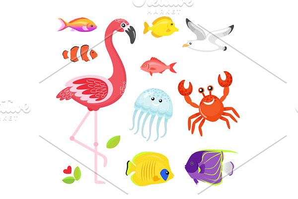 Flamingo and Jellyfish, Seagull and