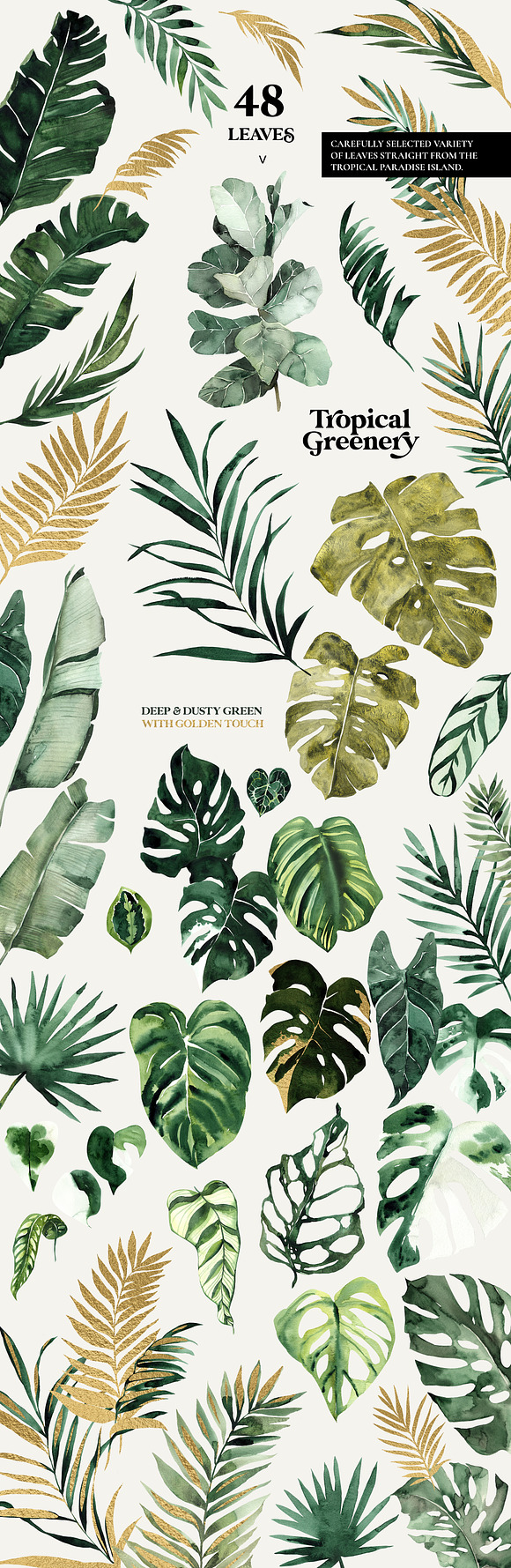 TROPICAL GREENERY green & gold leaf in Illustrations - product preview 3