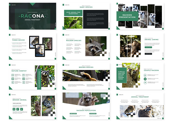 Racona - Google Slides Template in Google Slides Templates - product preview 1