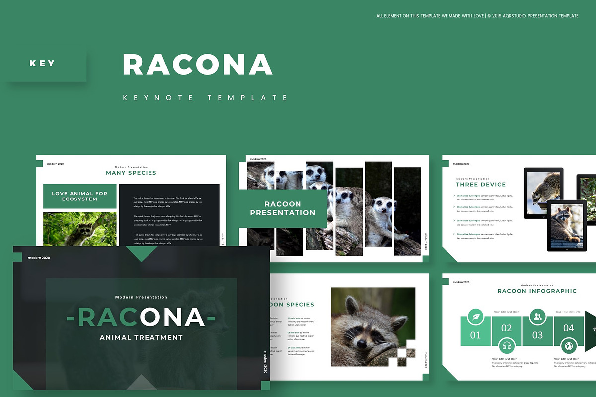 Racona - Keynote Template in Keynote Templates - product preview 8