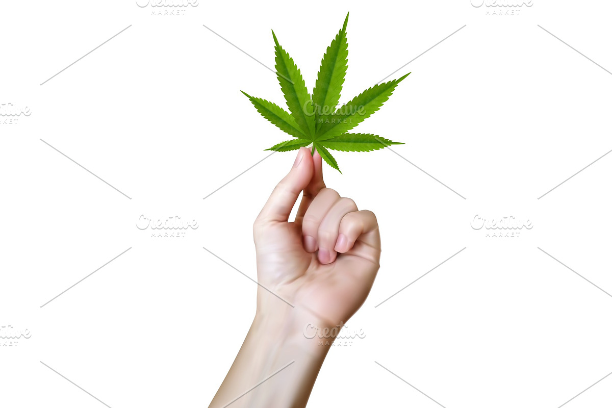 Cannabis leaf realistic picture in Illustrations - product preview 8