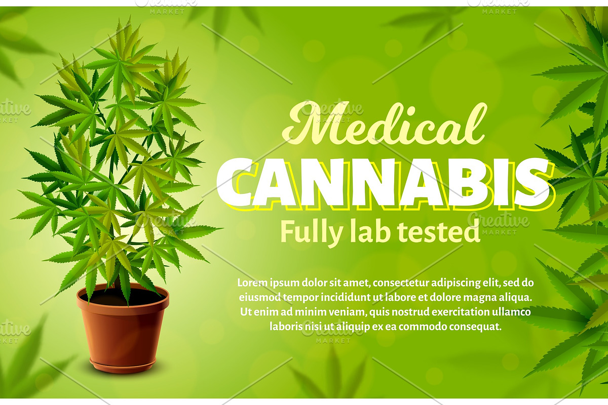 Medical cannabis vector banner in Illustrations - product preview 8