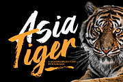 Asia Tiger Brush Font