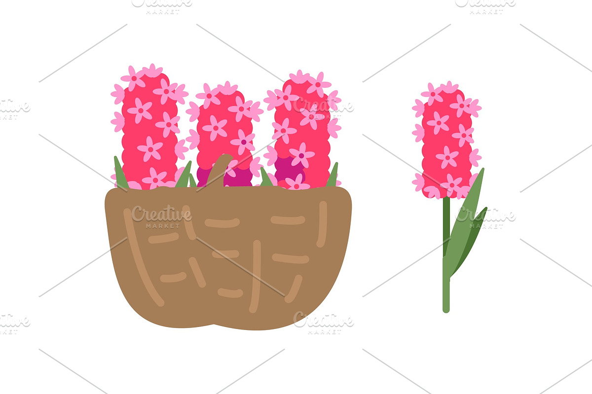 Pink Flowers in Basket, Blooming in Illustrations - product preview 8