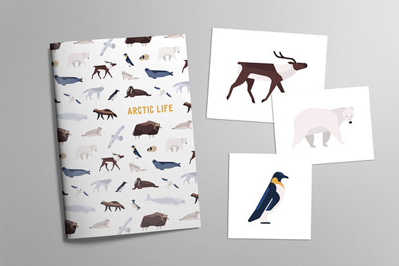 Polar animals set in Illustrations - product preview 1